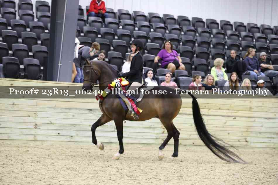 Proof 23R13_06249