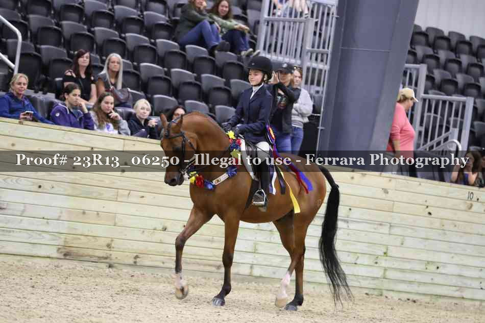 Proof 23R13_06250