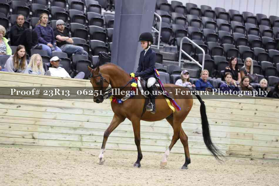 Proof 23R13_06251