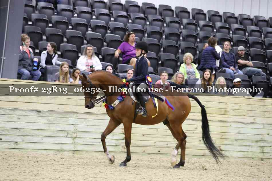 Proof 23R13_06252