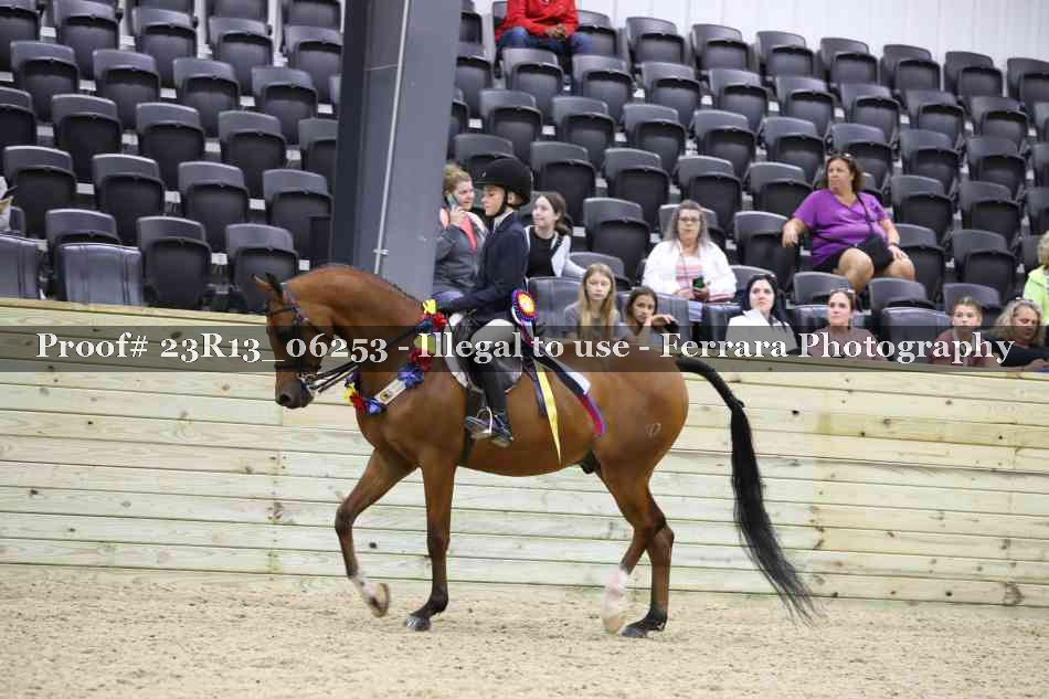 Proof 23R13_06253