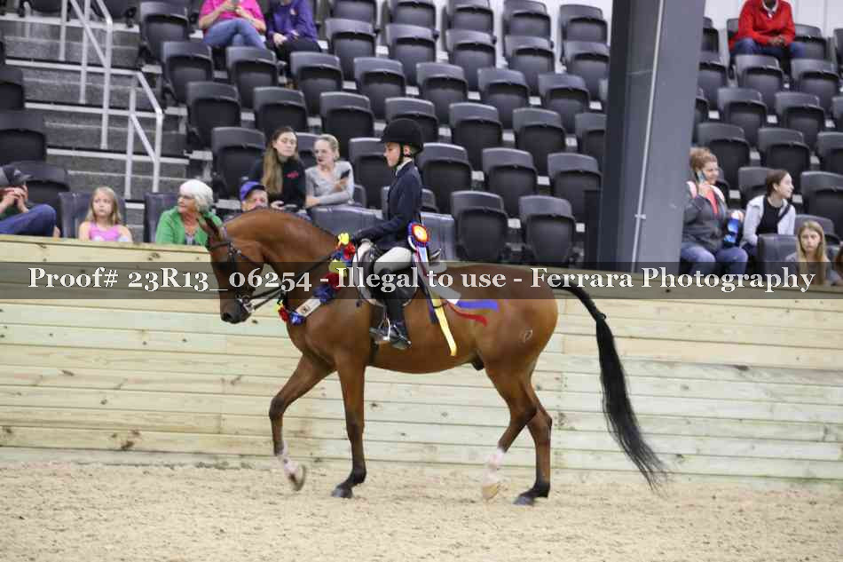 Proof 23R13_06254