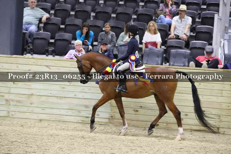 Proof 23R13_06255