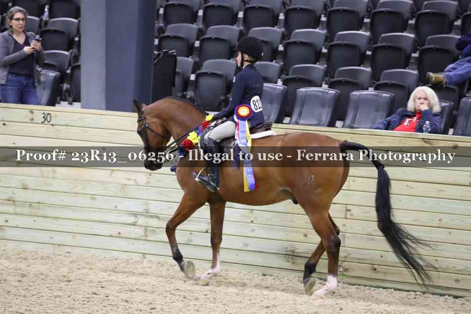 Proof 23R13_06256