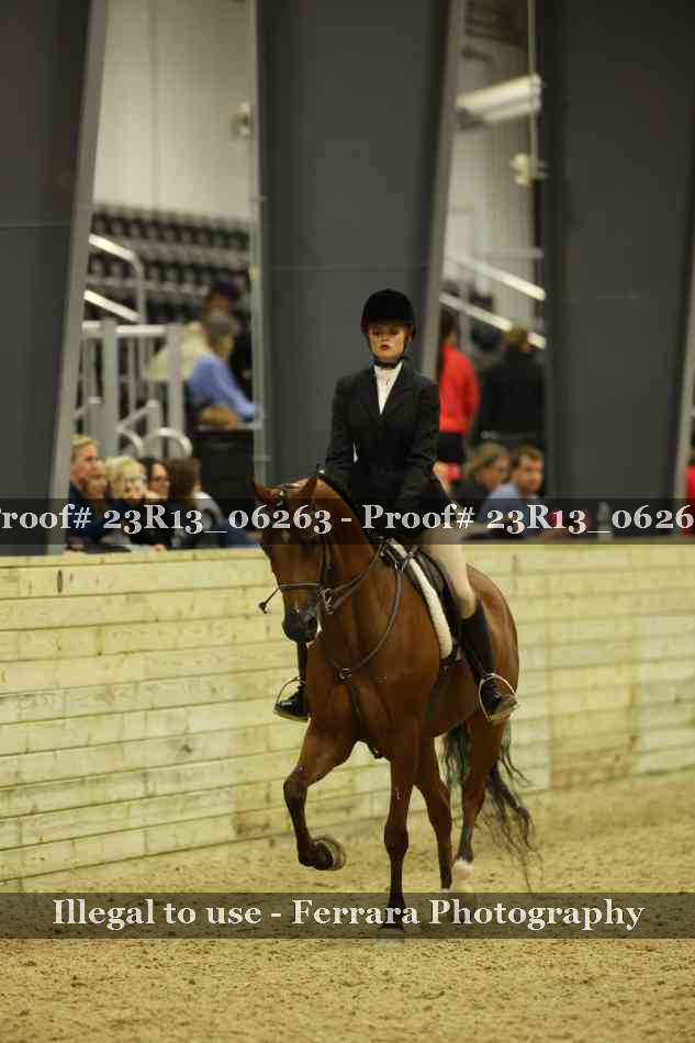 Proof 23R13_06263