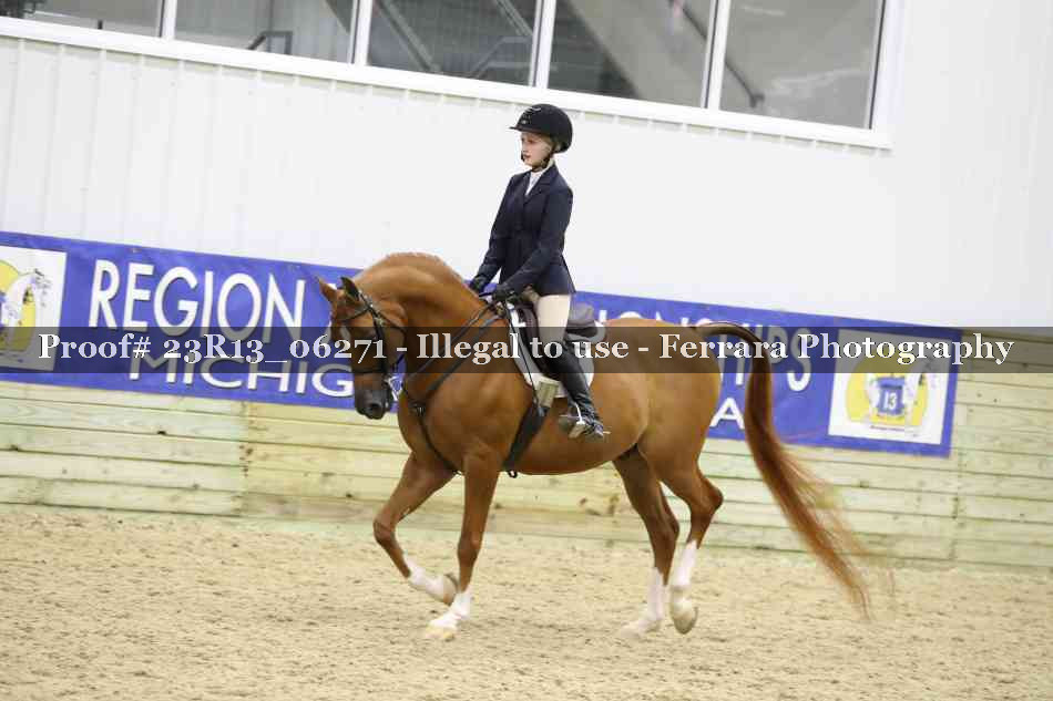 Proof 23R13_06271