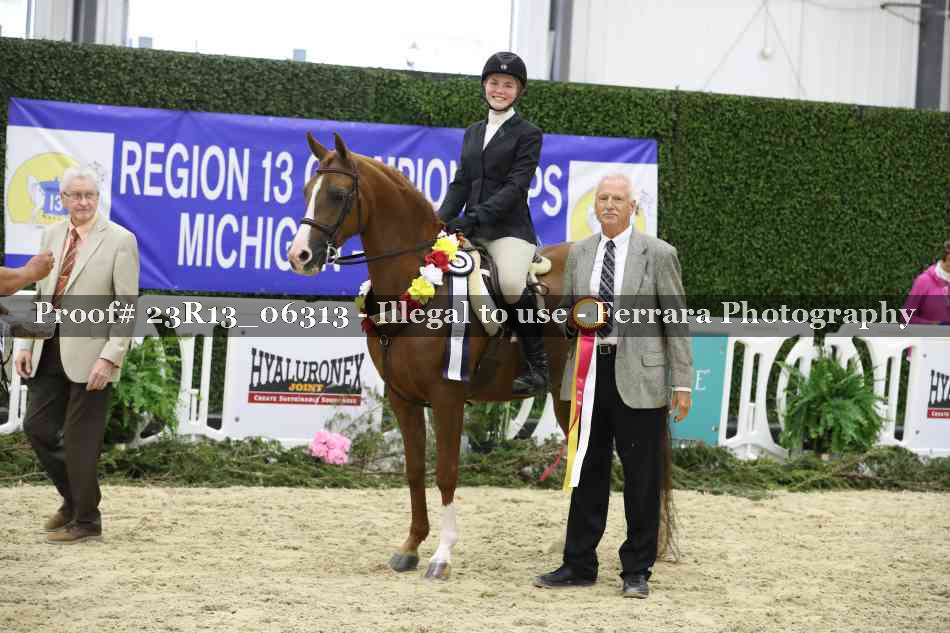 Proof 23R13_06313