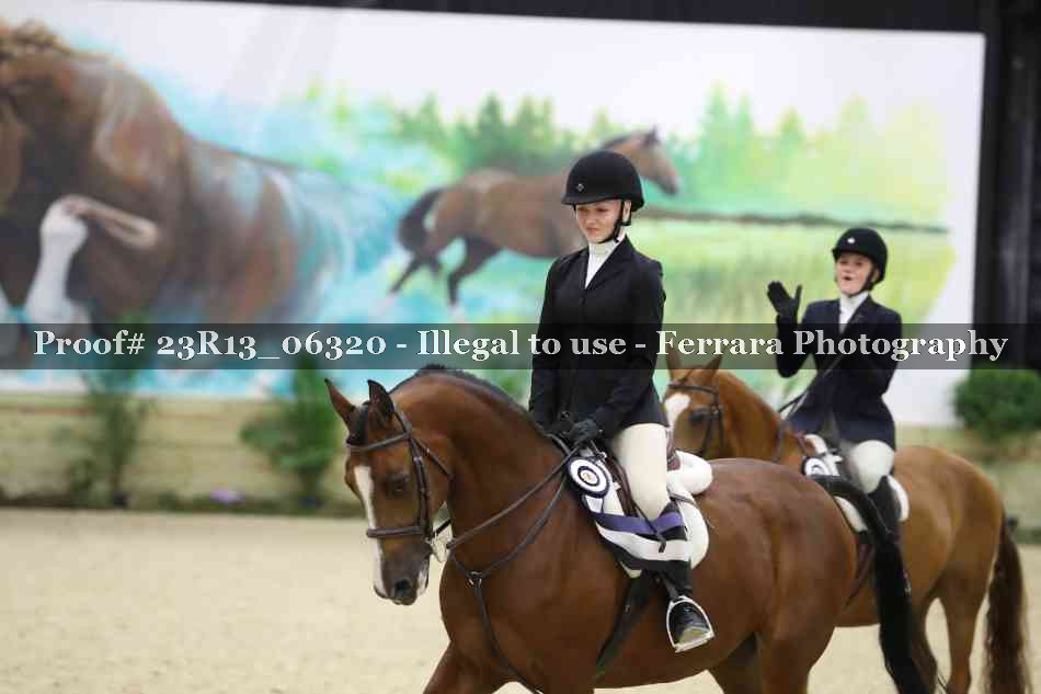 Proof 23R13_06320