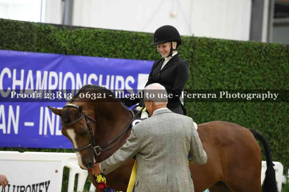 Proof 23R13_06321