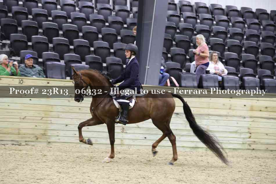 Proof 23R13_06332
