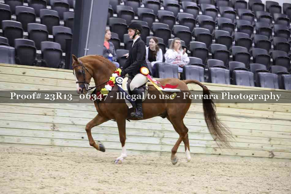 Proof 23R13_06347