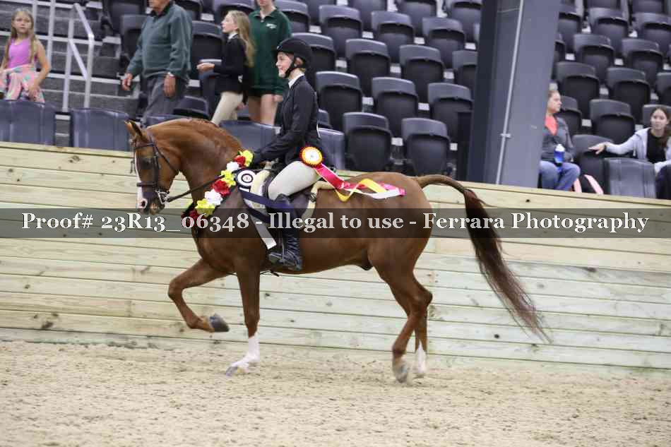 Proof 23R13_06348