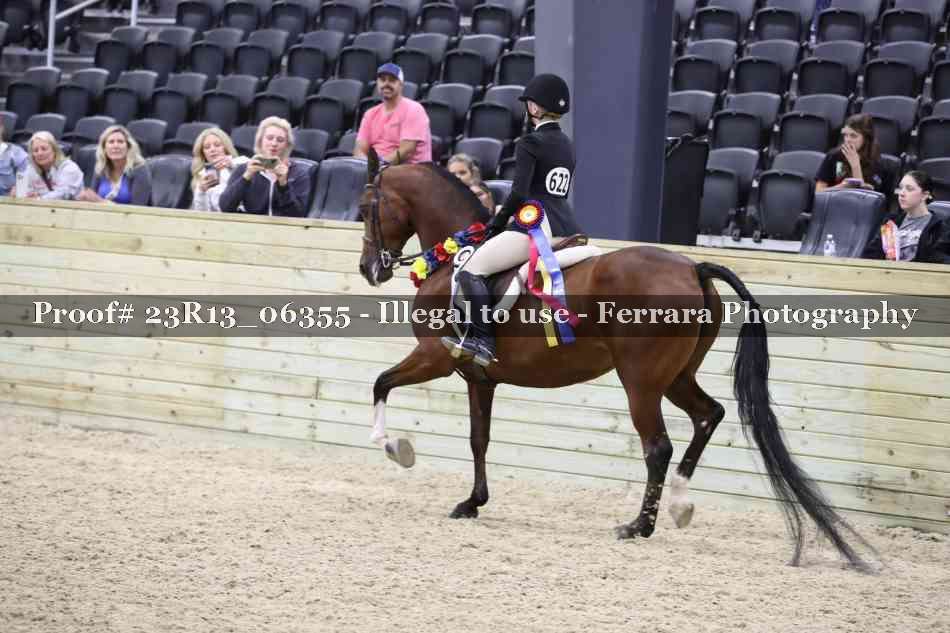 Proof 23R13_06355