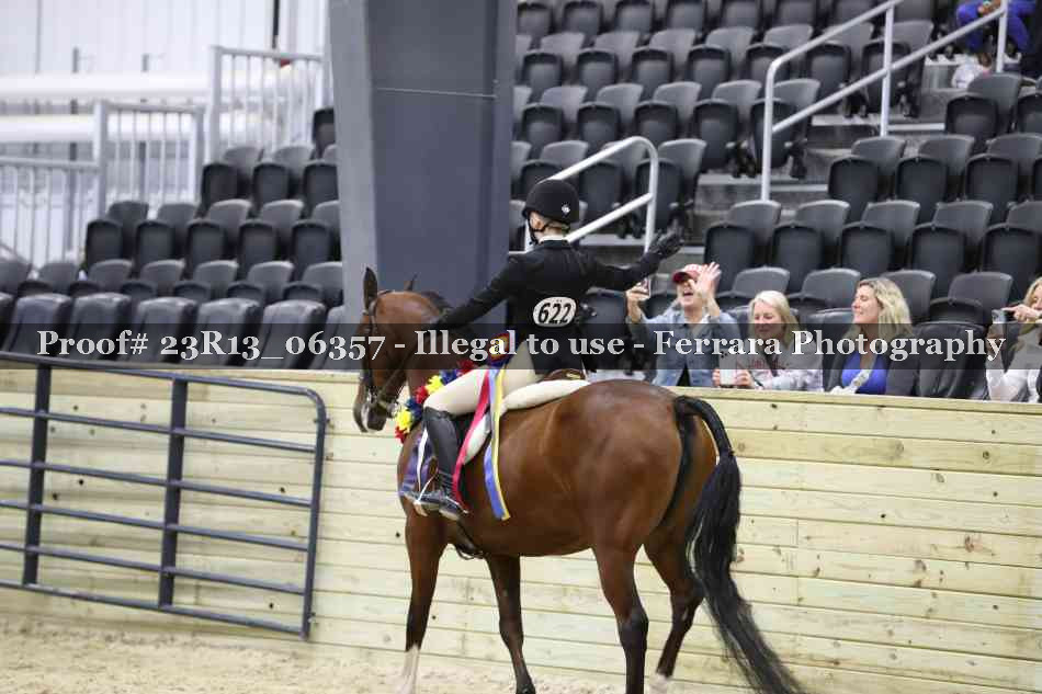 Proof 23R13_06357