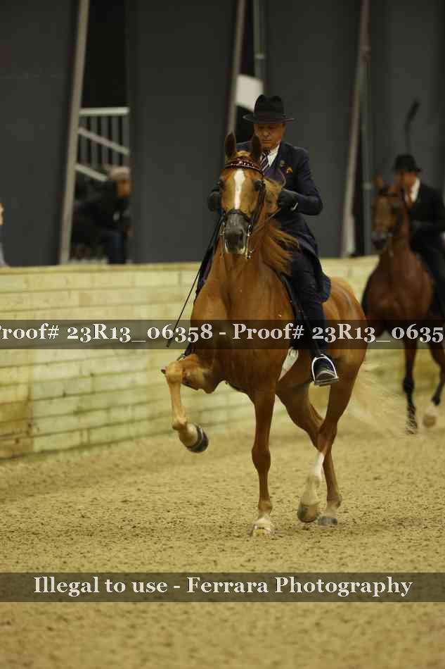 Proof 23R13_06358