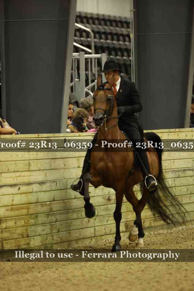 Proof 23R13_06359
