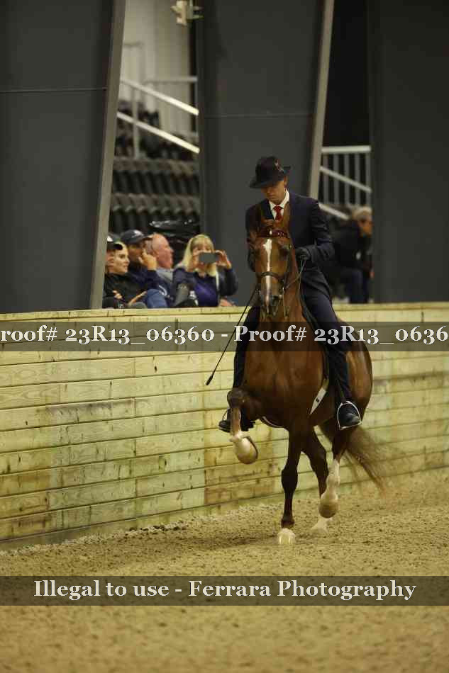 Proof 23R13_06360