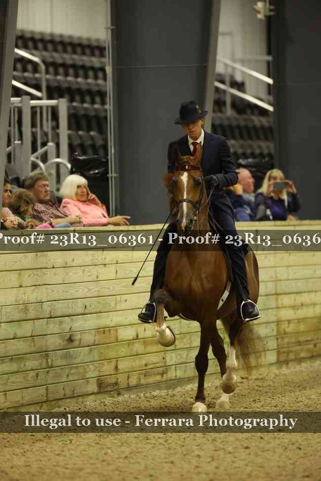 Proof 23R13_06361