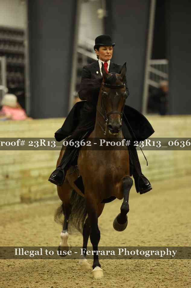 Proof 23R13_06362