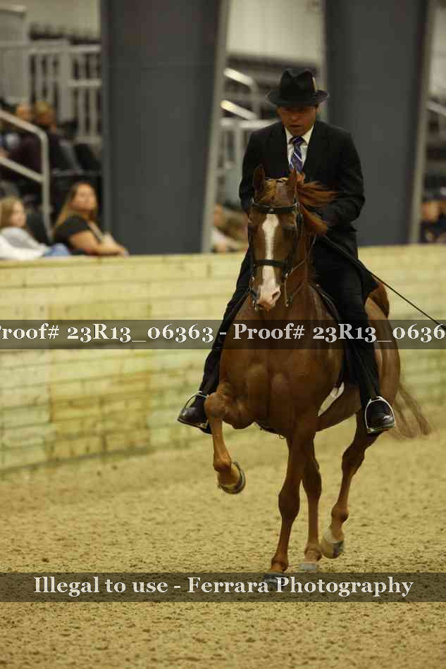 Proof 23R13_06363