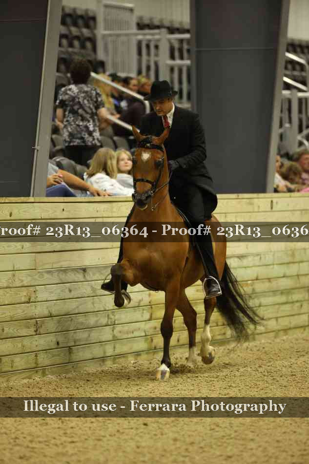 Proof 23R13_06364