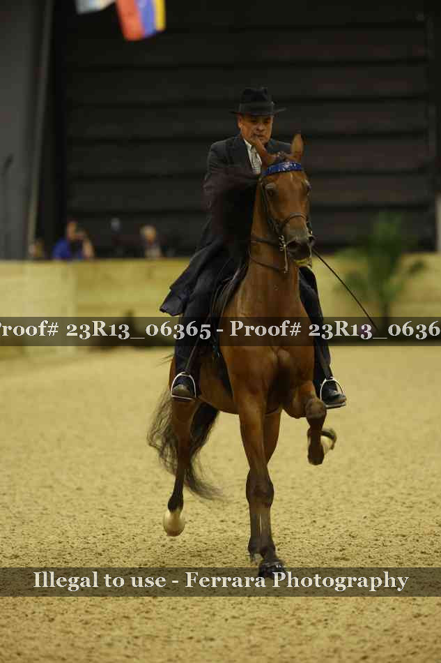 Proof 23R13_06365