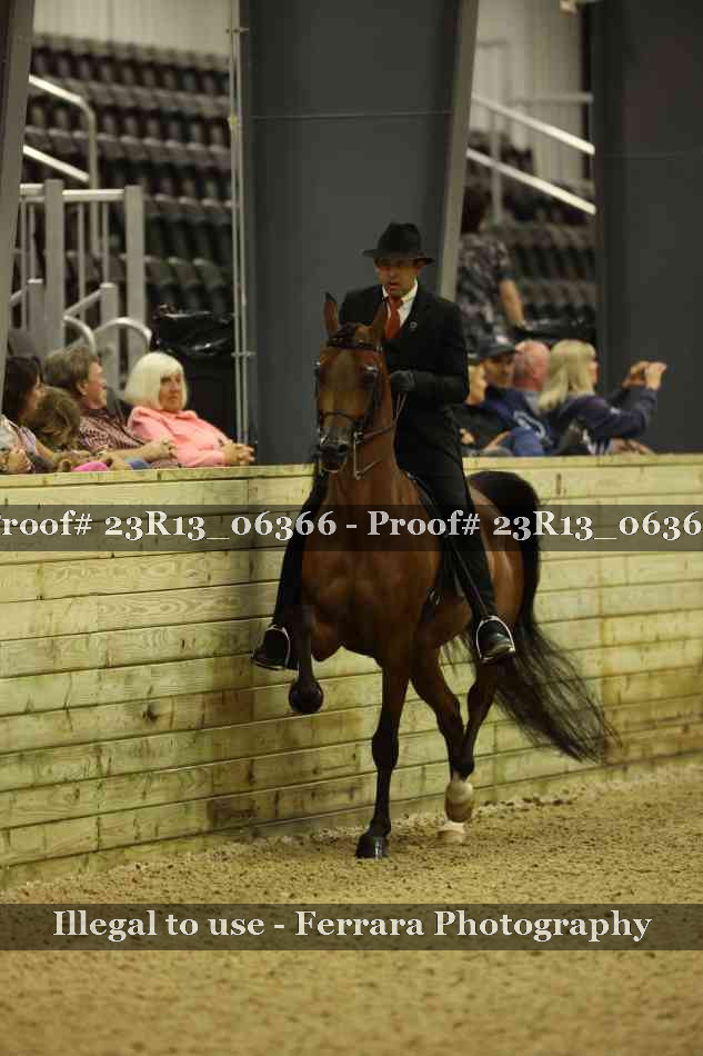 Proof 23R13_06366