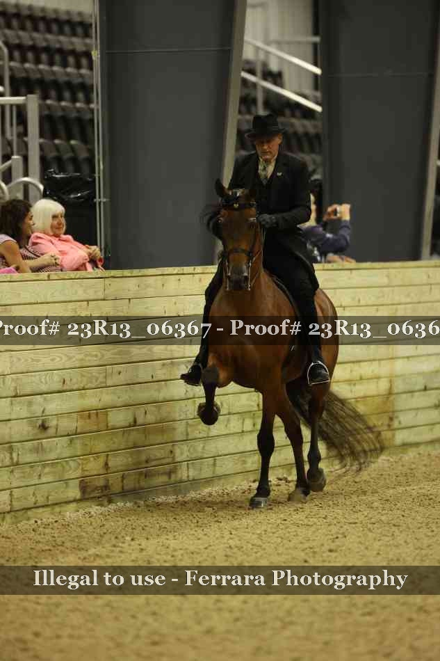 Proof 23R13_06367