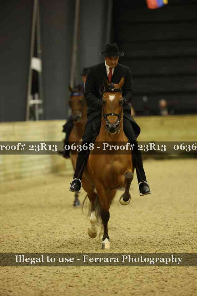 Proof 23R13_06368