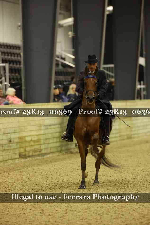 Proof 23R13_06369
