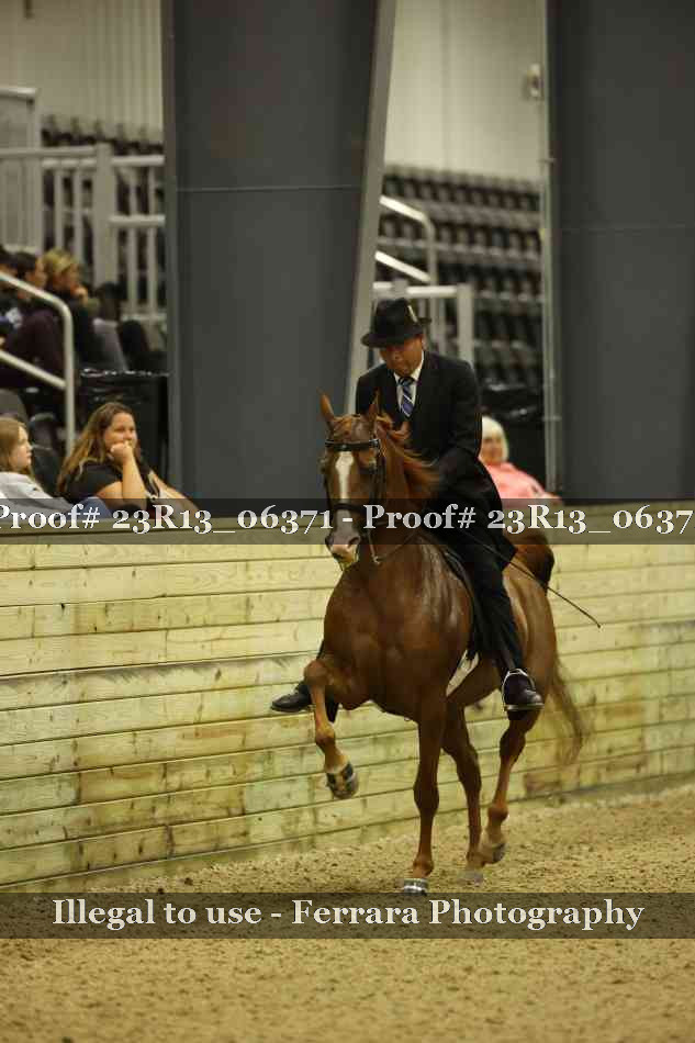 Proof 23R13_06371