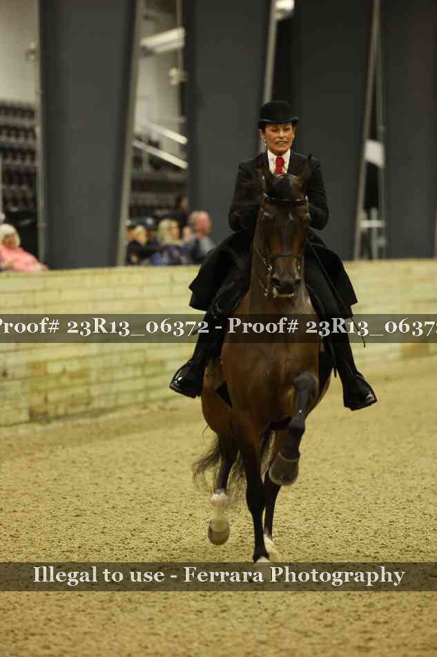 Proof 23R13_06372