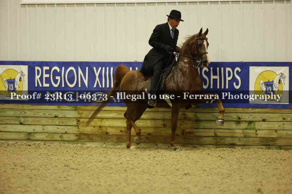 Proof 23R13_06373
