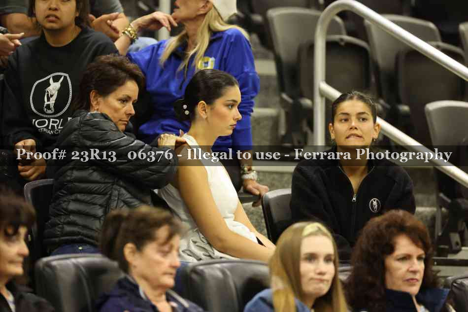 Proof 23R13_06376