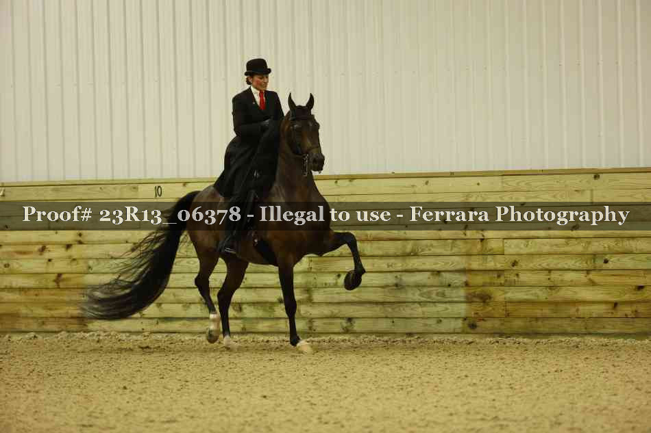 Proof 23R13_06378