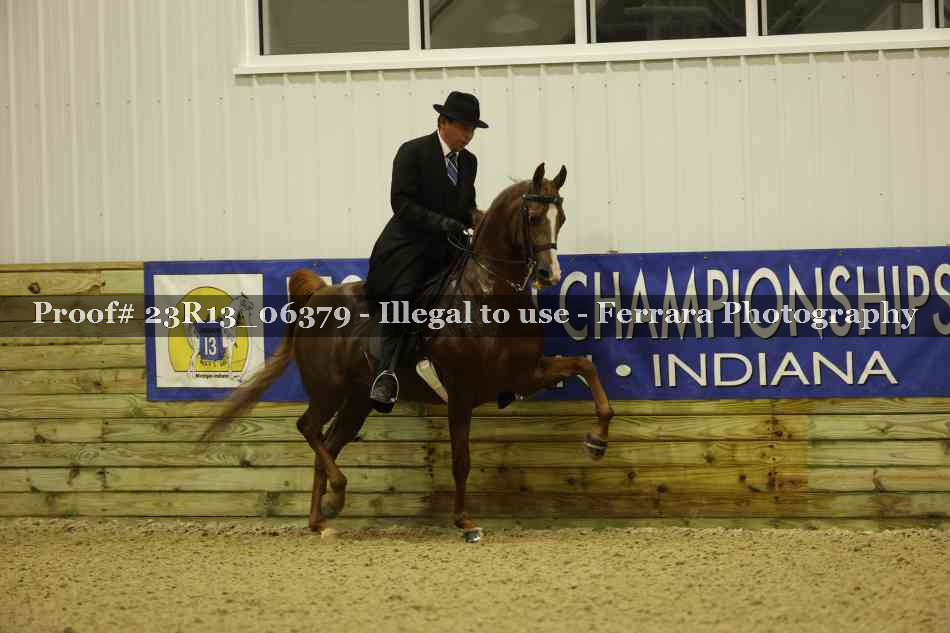 Proof 23R13_06379