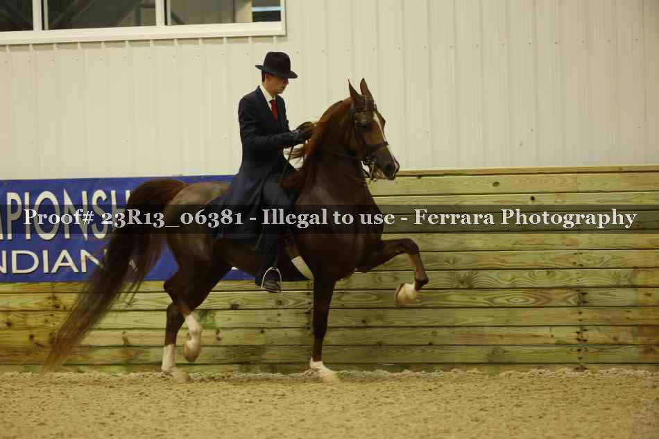 Proof 23R13_06381