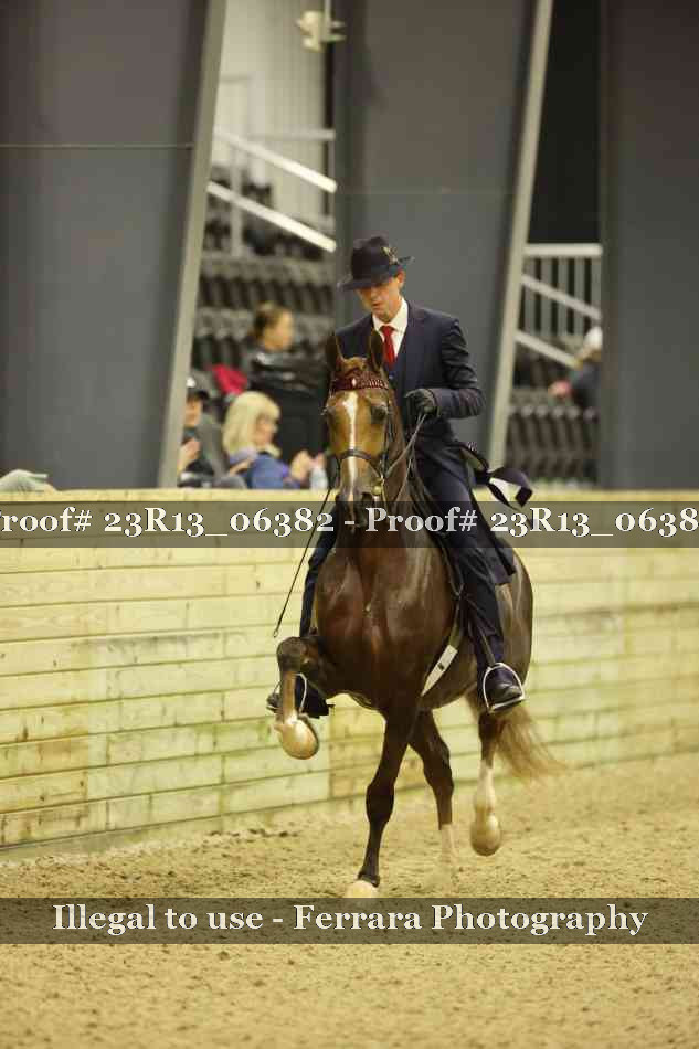 Proof 23R13_06382