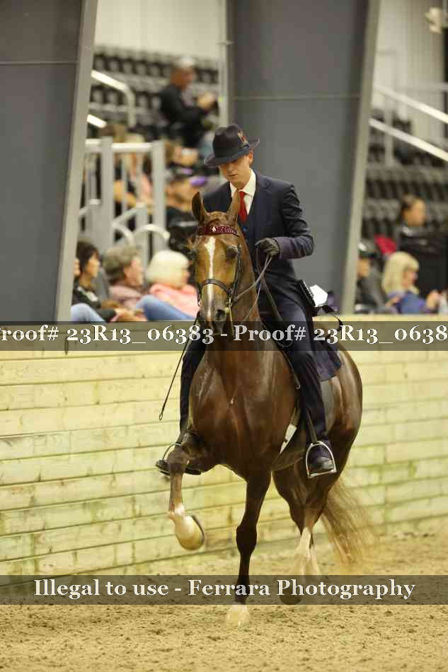 Proof 23R13_06383