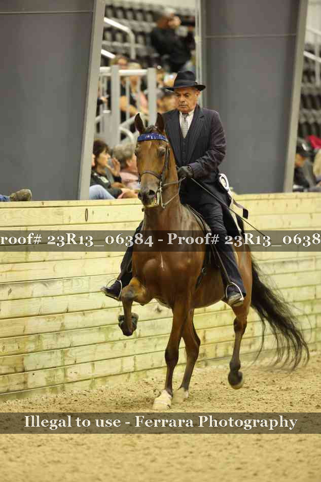 Proof 23R13_06384