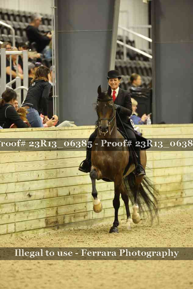 Proof 23R13_06385