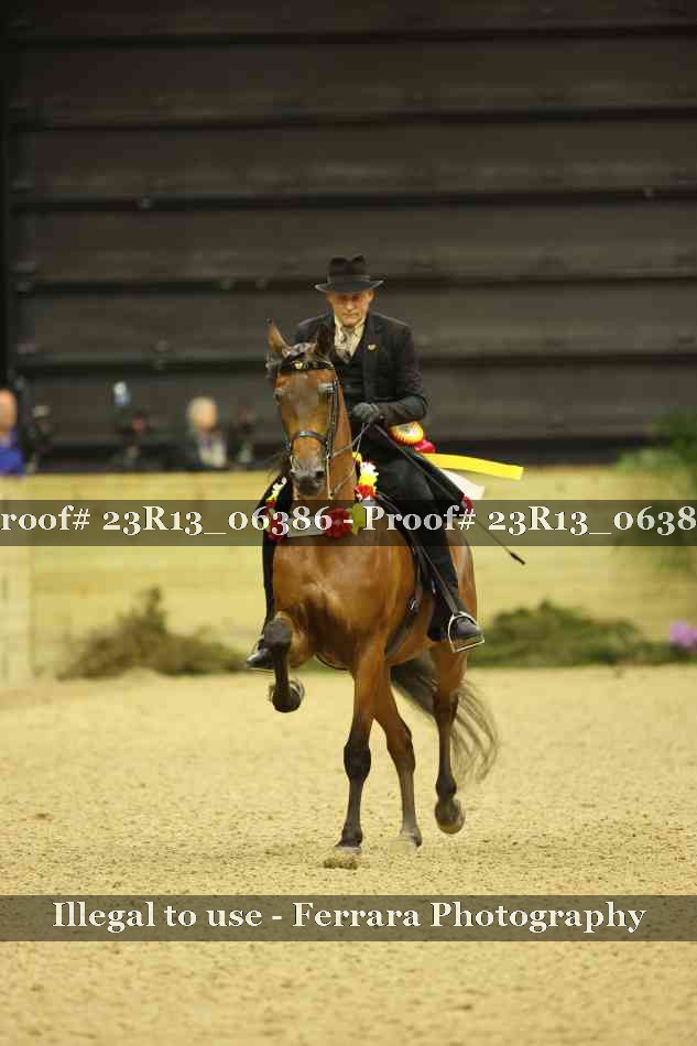 Proof 23R13_06386
