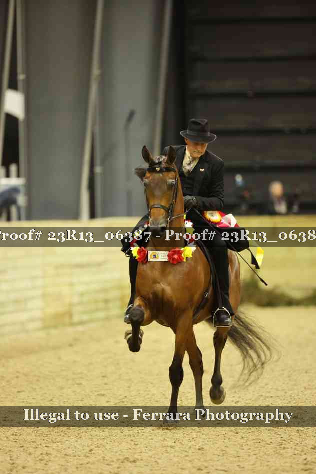 Proof 23R13_06387