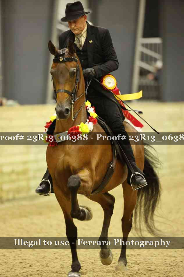 Proof 23R13_06388