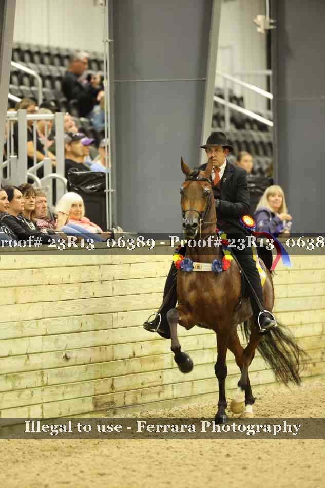 Proof 23R13_06389