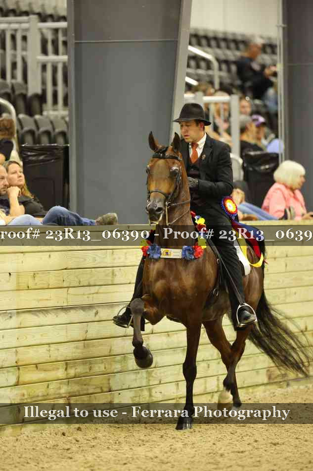 Proof 23R13_06390