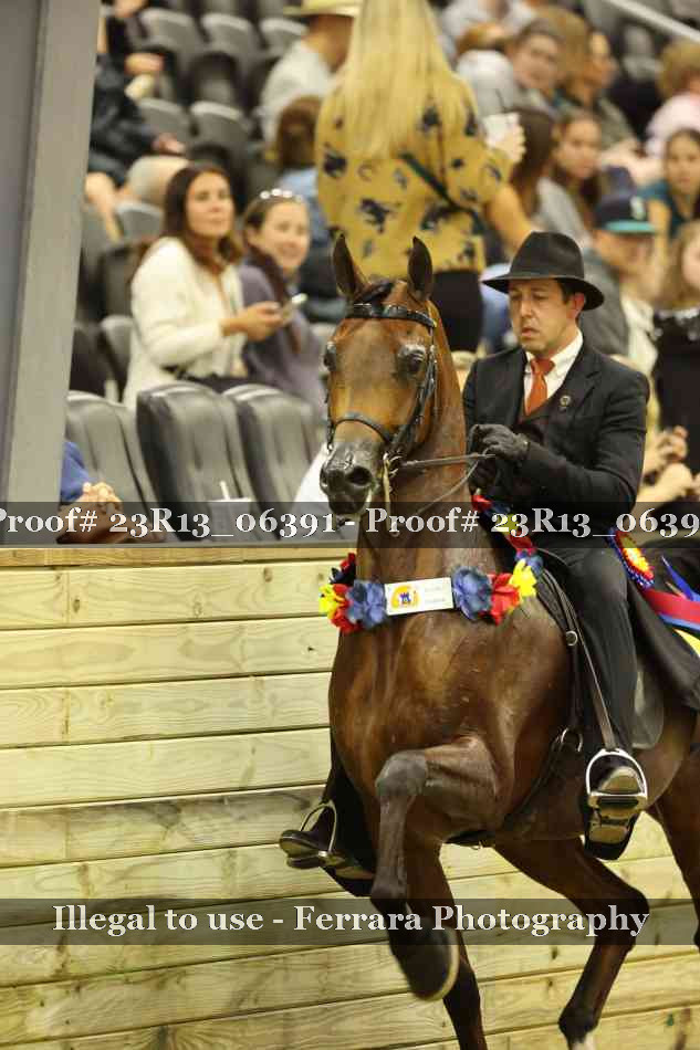 Proof 23R13_06391