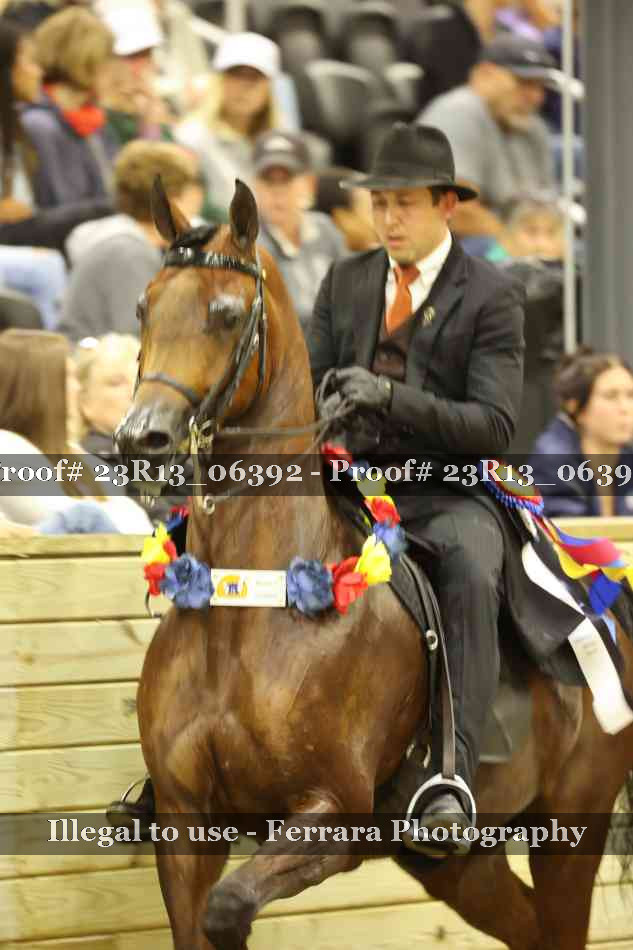Proof 23R13_06392