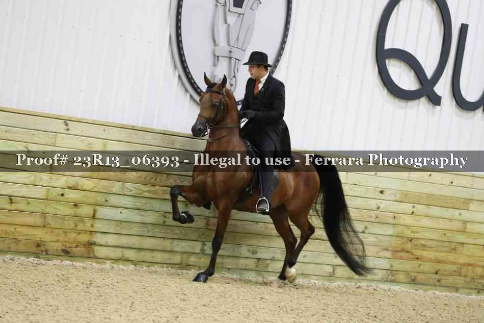 Proof 23R13_06393
