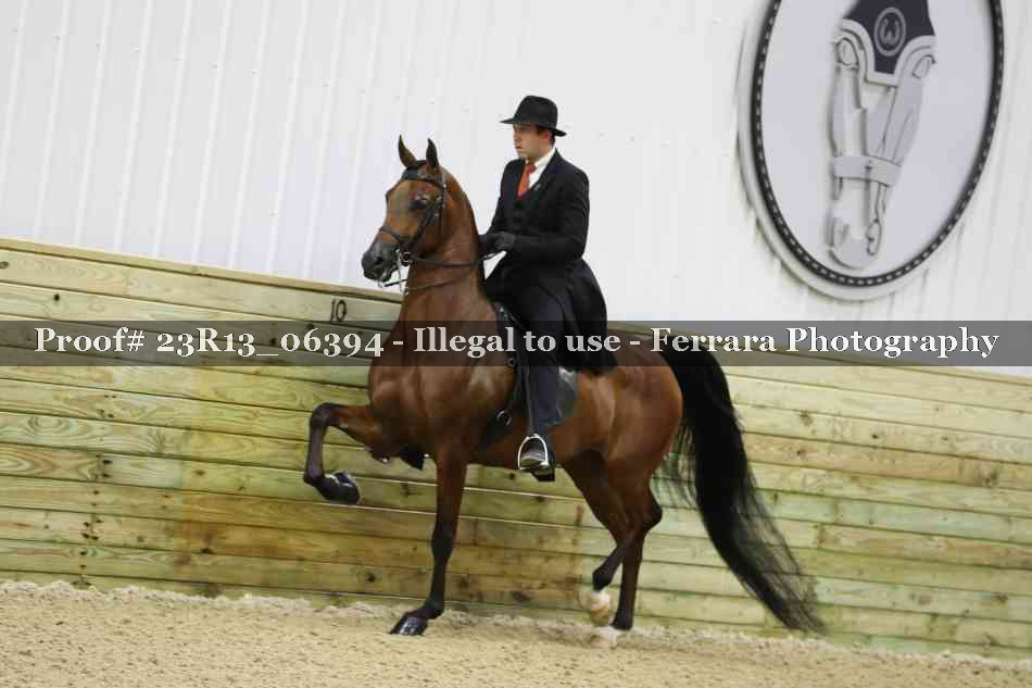 Proof 23R13_06394